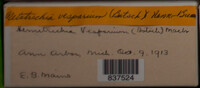 Image Associated With the Occurence